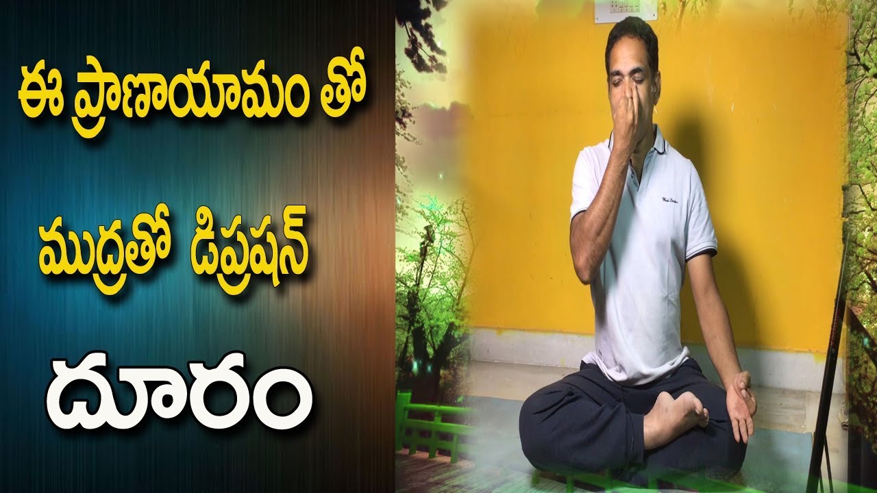 You are currently viewing Yoga Videos For Beginners In Telugu | Yoga Videos For Beginners | Yoga Videos | Yoga In Telugu