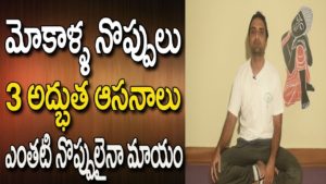 Read more about the article Yoga For Knee Pain Relief In Telugu |  Yoga For Knee Pain | Yoga Videos | Yoga In Telugu