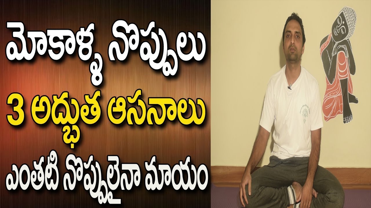 You are currently viewing Yoga For Knee Pain Relief In Telugu |  Yoga For Knee Pain | Yoga Videos | Yoga In Telugu