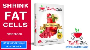 A skinny dieters tea drink to lose belly fat – Diet plan review