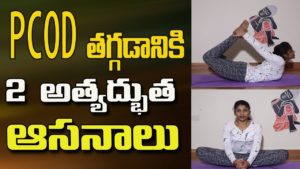Pcod Problem Solution In Telugu | Pcod Problem Solution In Yoga | Yoga For Beginners In Telugu
