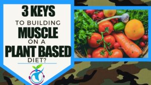 Three Keys To Building Muscle Tissue On A Plant Based Diet