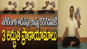 Read more about the article Pranayam For Weight Loss | Yoga For Weight Loss In Telugu | Breathing Exercises | Yoga In Telugu
