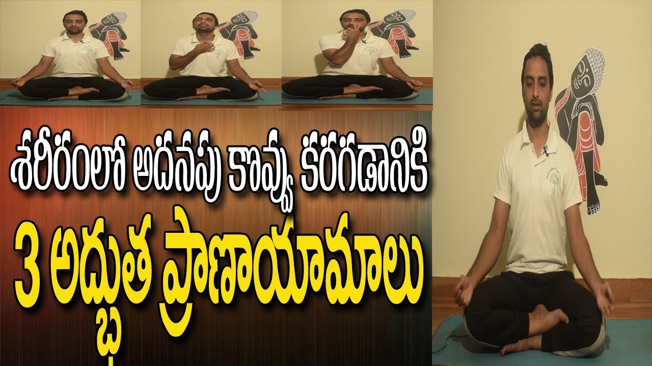 You are currently viewing Pranayam For Weight Loss | Yoga For Weight Loss In Telugu | Breathing Exercises | Yoga In Telugu