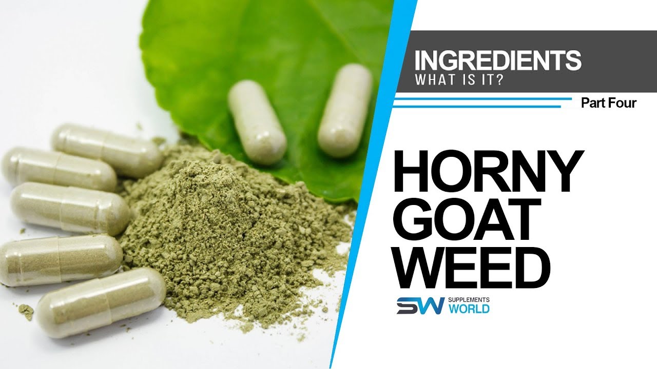 Health Benefits of Horny Goat Weed