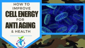 Read more about the article How to Improve Cellular Energy (Mitochondrial Function) for Anti Aging & Health